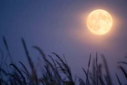 volle maan juni 2026