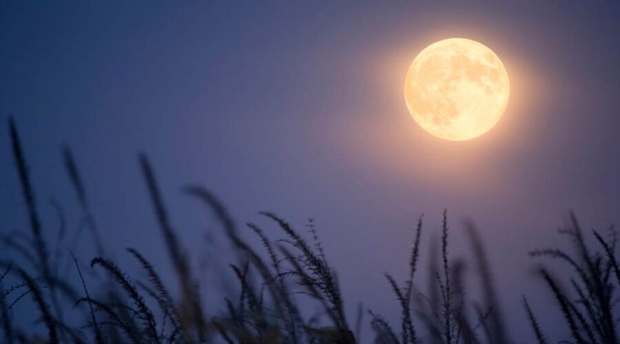 volle maan juni 2026
