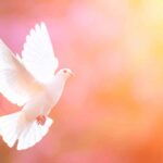 engelen gidsen en geesten
