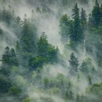 spirituele betekenis mist