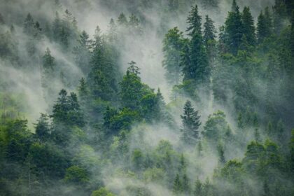 spirituele betekenis mist